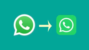 Cara Mentransfer Obrolan dari WhatsApp ke MBWhatsApp